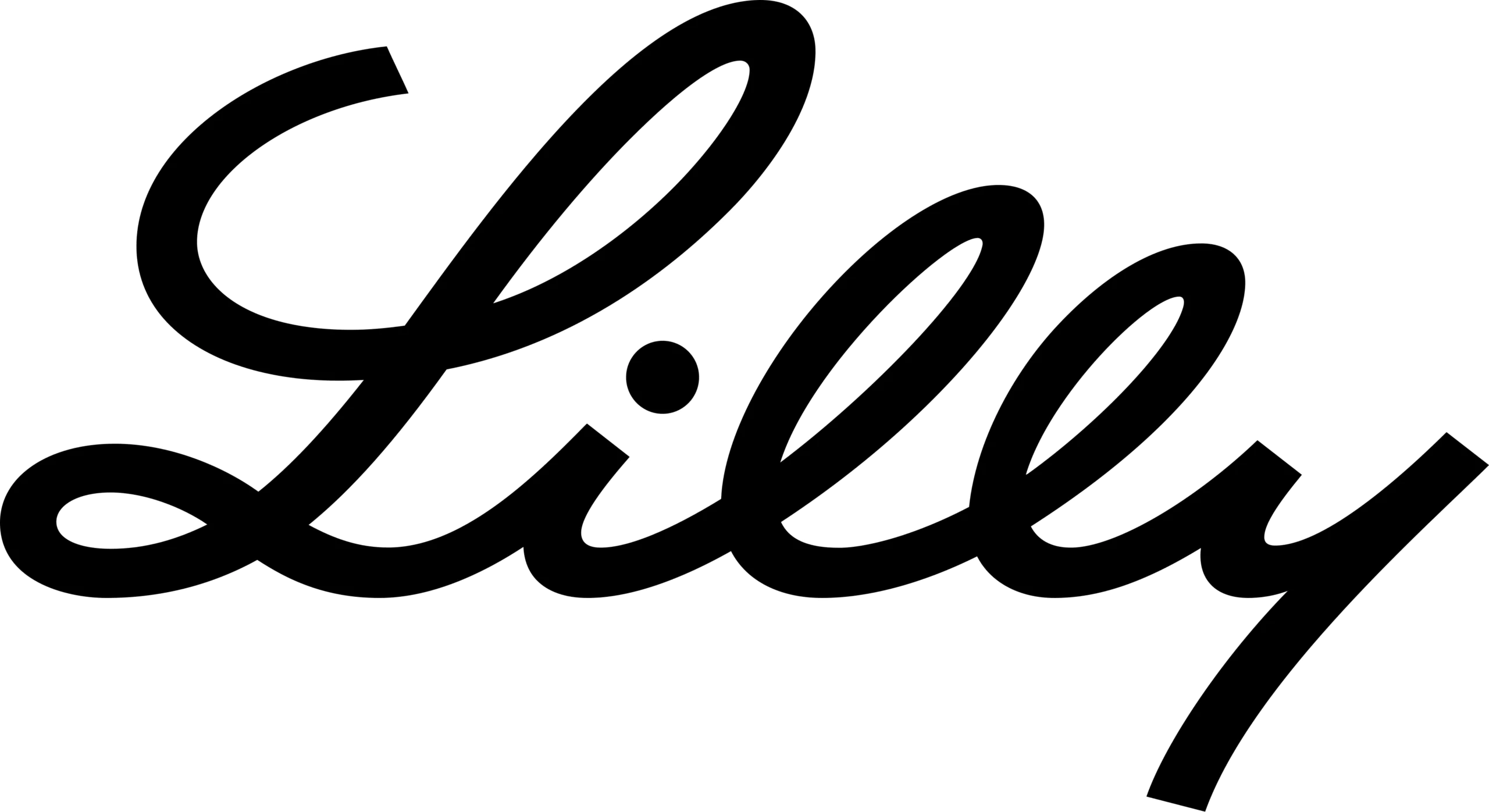 Platinum Sponsor