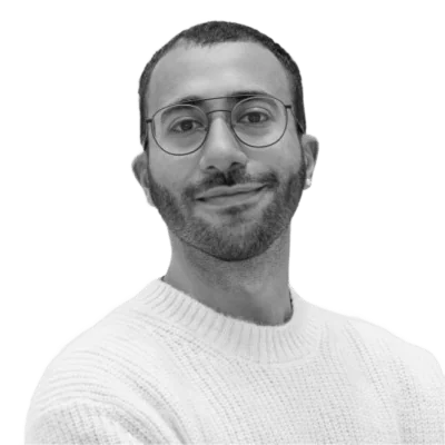 Ahmed H.H.H. Mahmoud