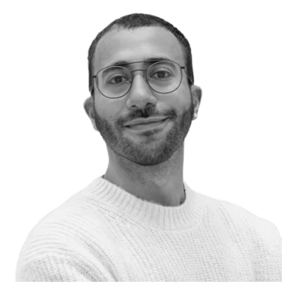 Ahmed Hassan H.H. Mahmoud