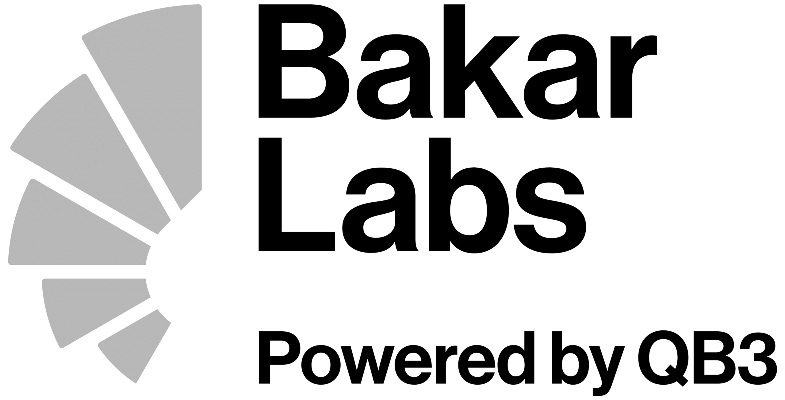 Silver Sponsor